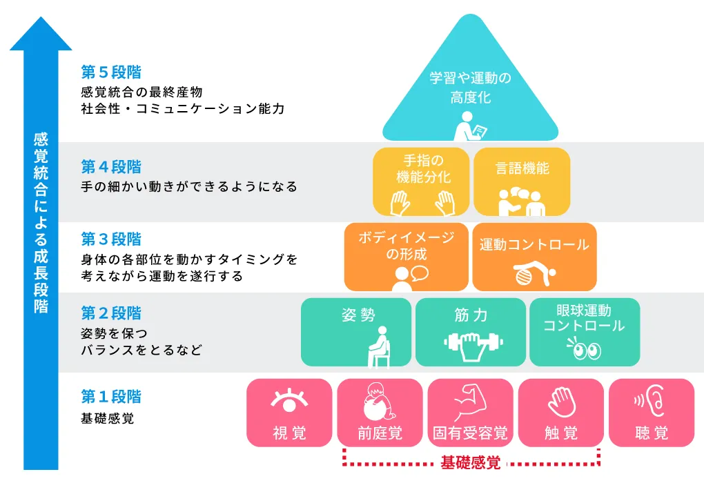 発達のピラミッド画像|児童発達支援・放課後等デイサービス・保育所等訪問支援 LEGONKids天満宙組